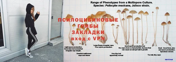 твердый Новокубанск