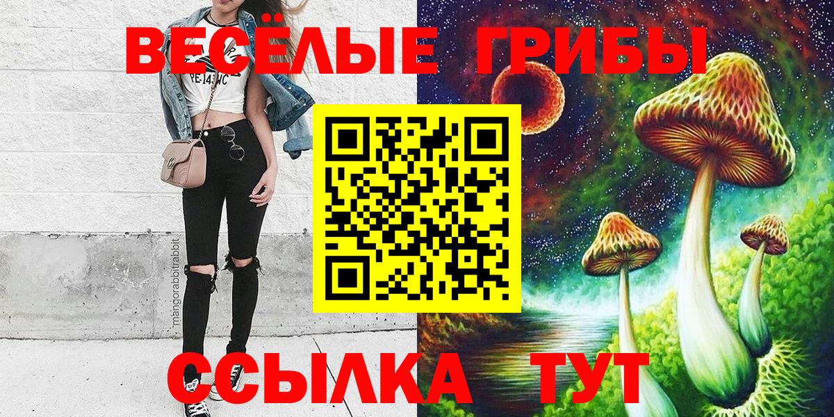 Бийск  Псилоцибиновые грибы GOLDEN TEACHER  Вход с VPN  Псилоцибиновые грибы Cubensis 