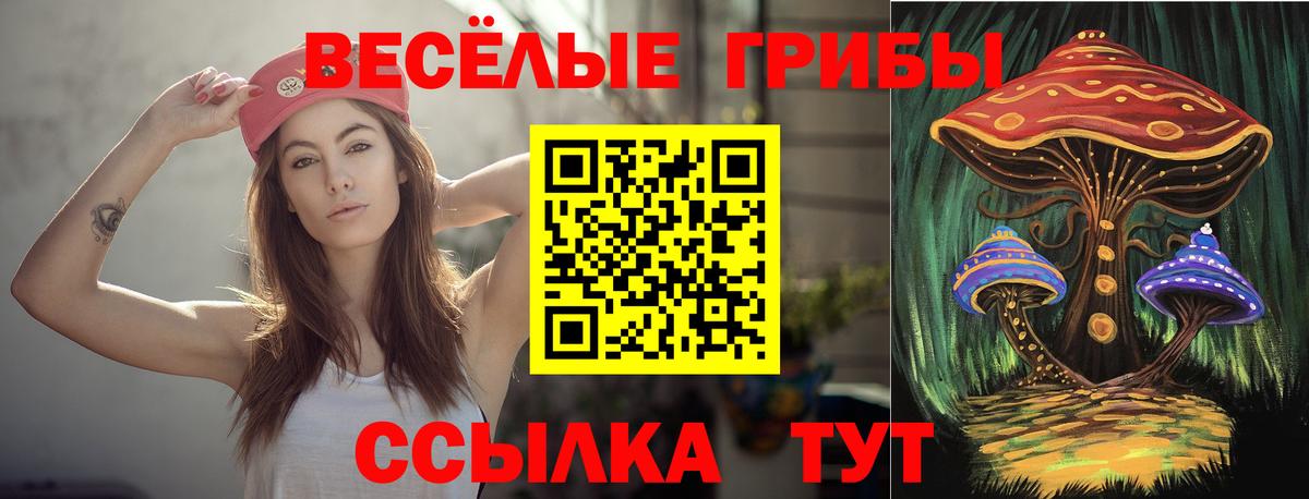 Галлюциногенные грибы MAGIC MUSHROOMS Бийск